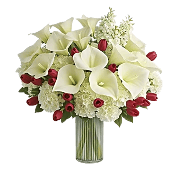 Elegant Calla Lilies