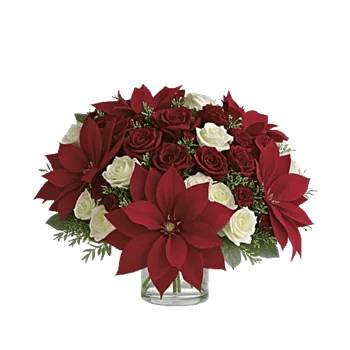 Petal Radiance Bliss