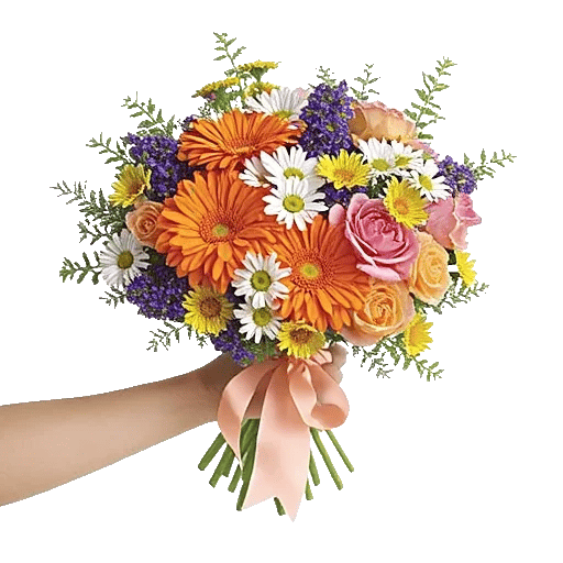 Petal Radiance Bliss