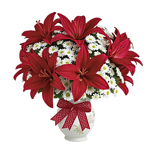 Crimson Lily Glow
