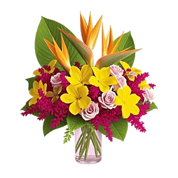 Petal Radiance Bliss