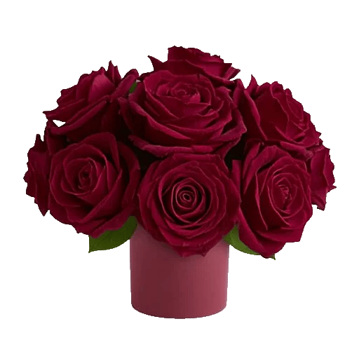 Crimson Blossom Harmony