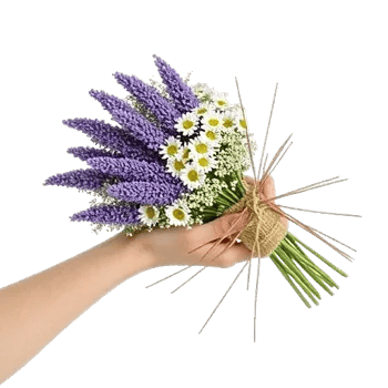 Delicate Petal Cascade