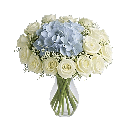 Serene Petal Harmony