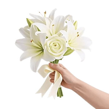 Ivory Blossom Radiance