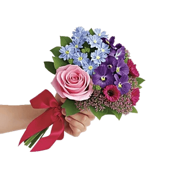 Blossom Petal Serenity