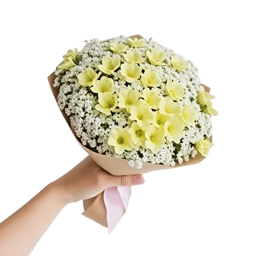 Blossom Radiant Whisper