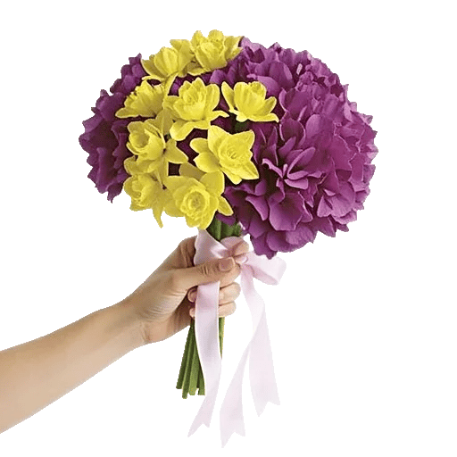 Ivory Blossom Radiance