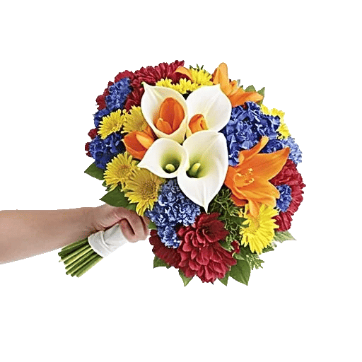 Petal Harmony Bliss