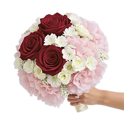 Blushing Rose Symphony