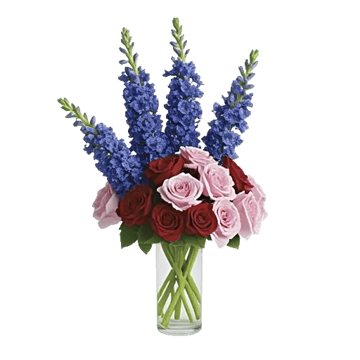 Serenity Blossom Grace