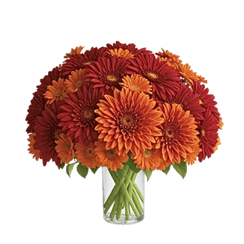 Crimson Blossom Harmony