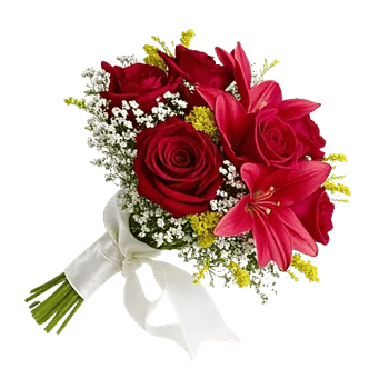 Crimson Rose Elegance