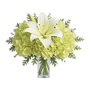 Graceful Lily Display