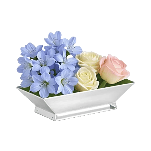 Blossom Petal Serenity