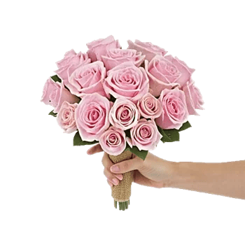 Pink Pastel Roses