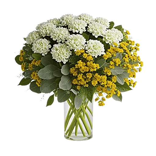 Ivory Blossom Radiance