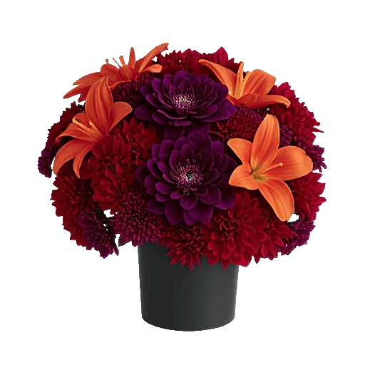 Petal Radiance Bliss