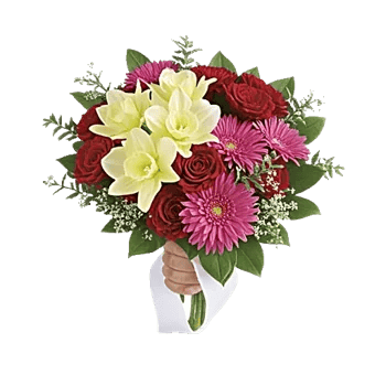 Blossom Harmony Display