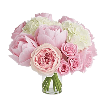 Petal Radiance Bliss