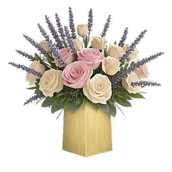 Pink Pastel Roses