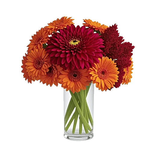 Crimson Blossom Harmony