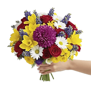 Petal Harmony Bliss