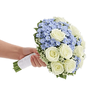 Blossom Petal Serenity