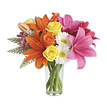 Graceful Lily Display