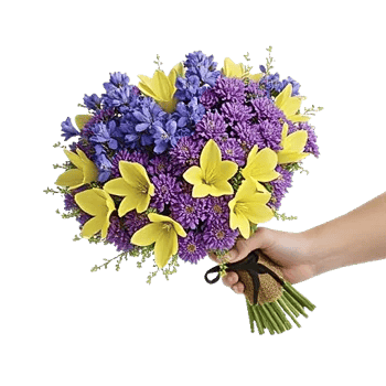 Blushing Rose Symphony