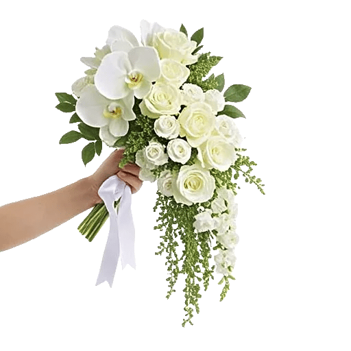 Orchid Bloom Cascade