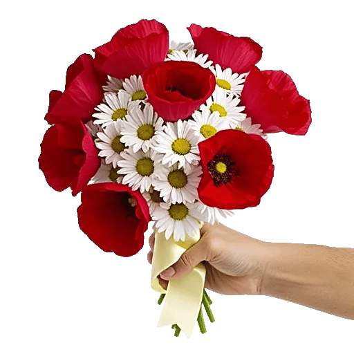 Crimson Blossom Harmony