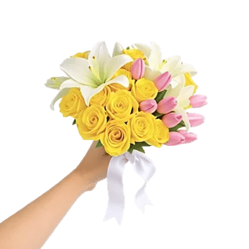 Blossom Harmony Display