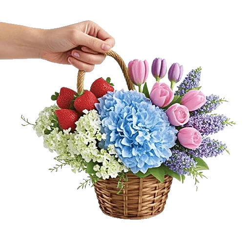 Blossom Harmony Display