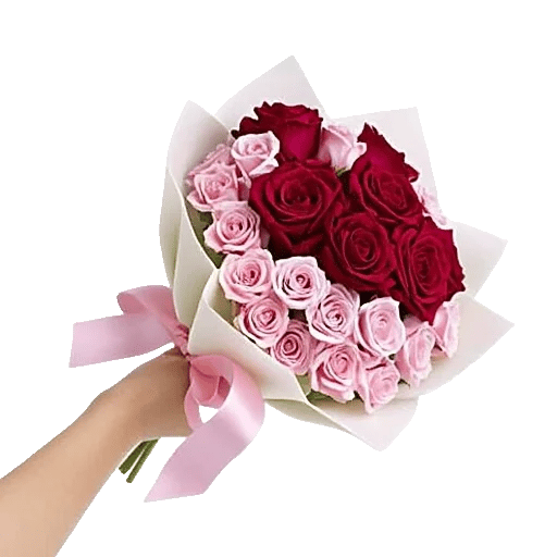 Crimson Rose Elegance