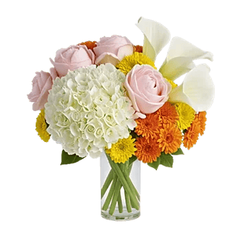 Ivory Blossom Radiance