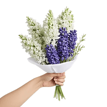 Modern White Orchids