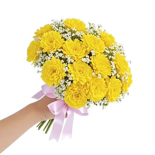 Blossom Harmony Display