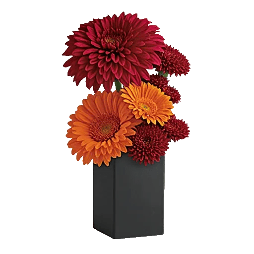 Crimson Blossom Harmony