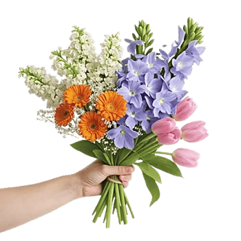 Graceful Lily Display