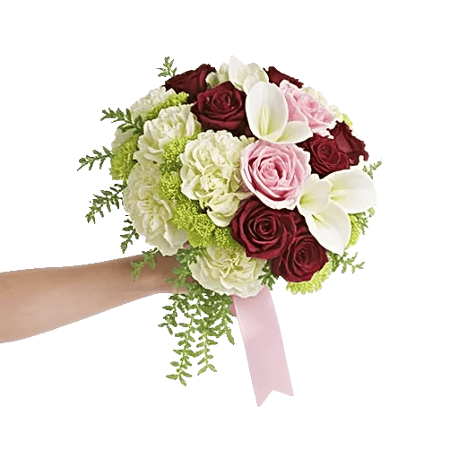 Delicate Petal Cascade