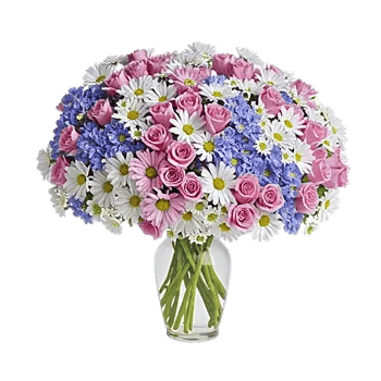 Ivory Blossom Radiance