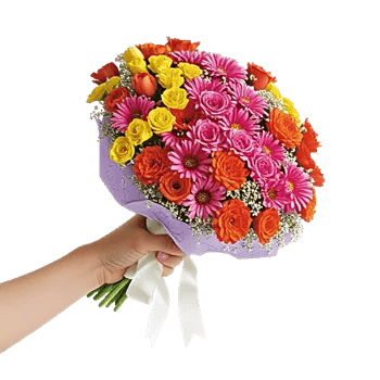 Pastel Blossom Grace