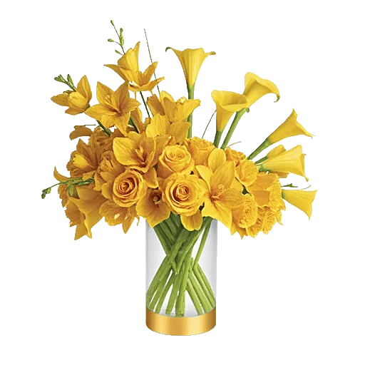 Golden Petal Harmony