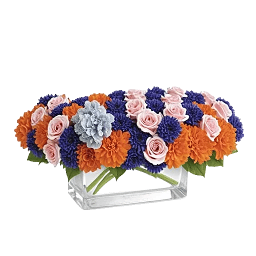 Sapphire Bloom Whisper