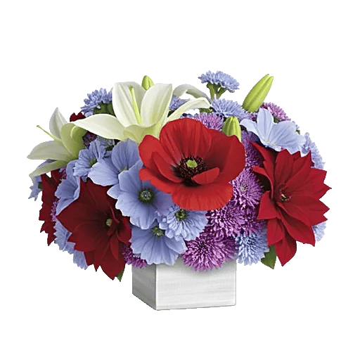 Blossom Glow Symphony