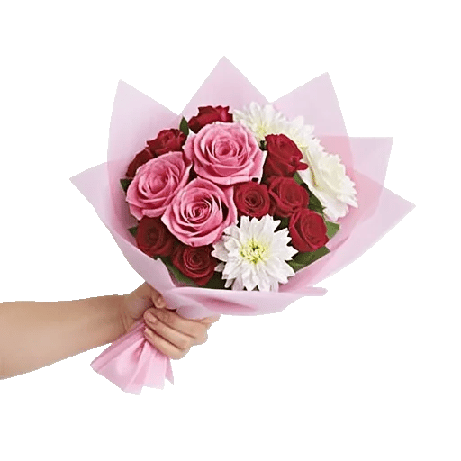 Pastel Pink Roses