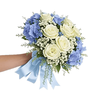 Serene Petal Harmony