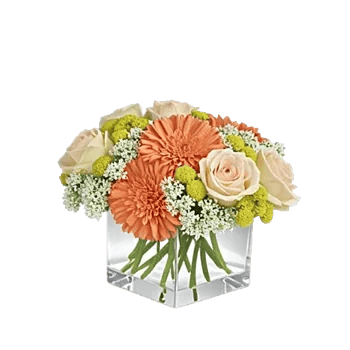 Petal Harmony Bliss