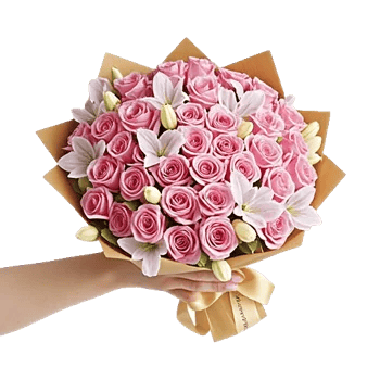 Blushing Rose Symphony